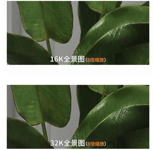 1584605919806526.jpg 微信图片_202003191035428.jpg