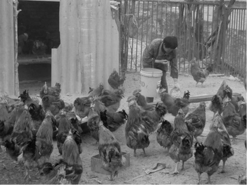 1590373609130586.jpg 二版862.jpg