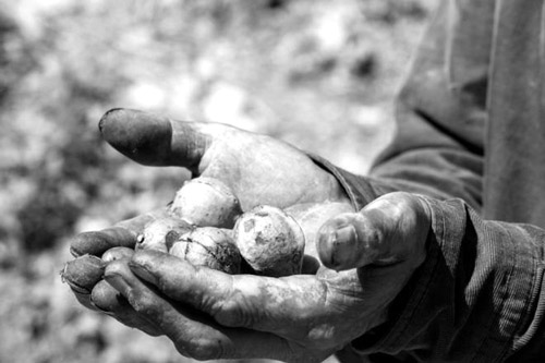 1590374049798851.jpg 微信截图_20200521122922.jpg