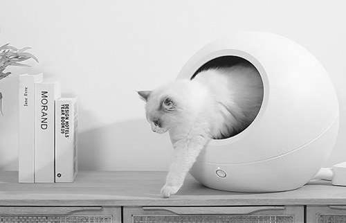 1592960986191957.jpg 宠物空调房.jpg