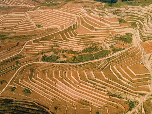 1595491044780889.jpg 微信图片_202007231050091.jpg