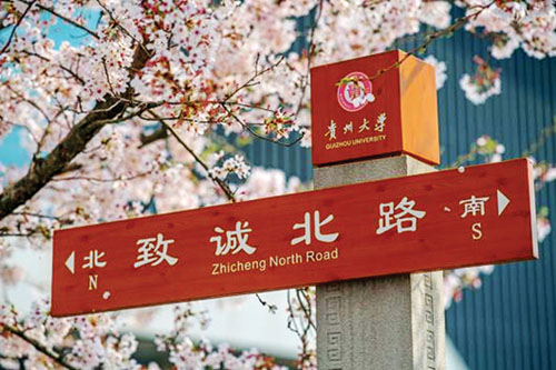 1597025464937100.jpg 微信图片_20200807105540.jpg