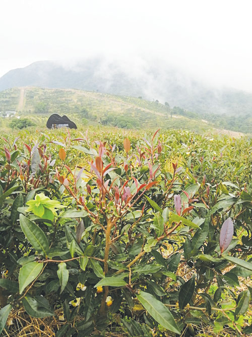 1601369685537529.jpg 微信图片_20200929141417.jpg