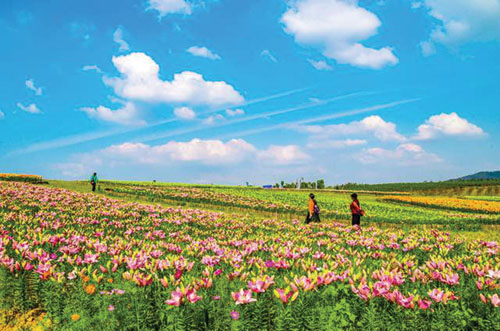 1602641200304712.jpg 图片1.jpg