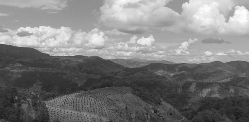 1609117962648507.jpg 6.jpg