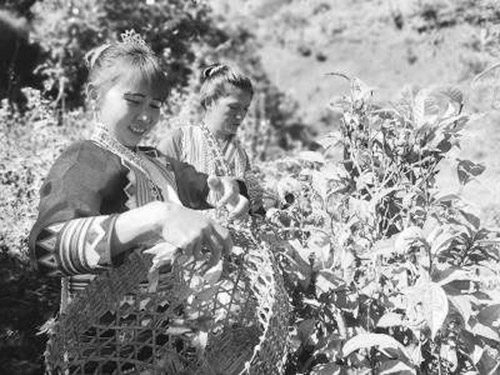 1609291382106718.jpg 微信图片_202012281225451.jpg