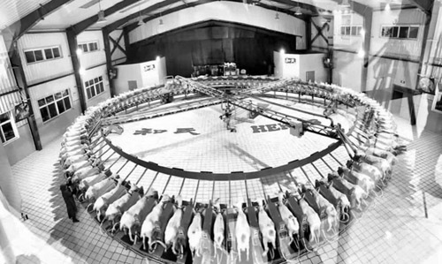 1609291431994578.jpg 微信图片_202012281225453.jpg