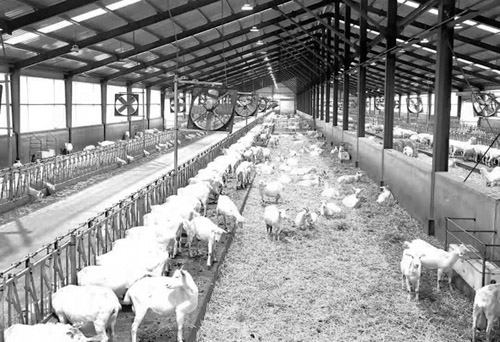 1609291435209519.jpg 微信图片_202012281225452.jpg