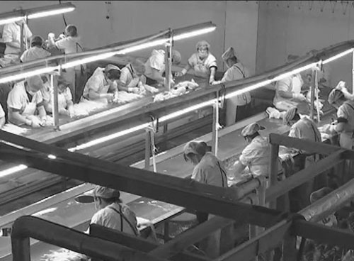 1609814515256595.jpg 11.jpg