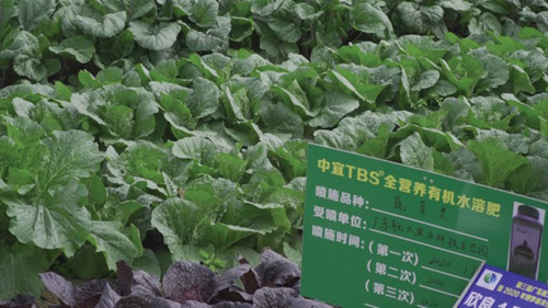 1611198143182800.jpg 微信图片_202101201330192.jpg