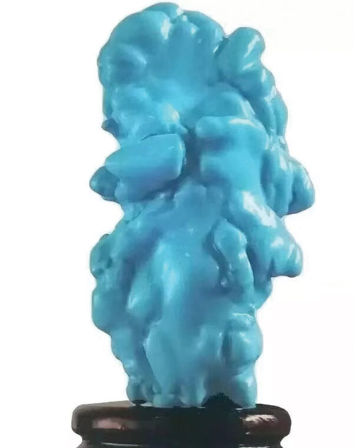 1611199360706752.jpg 微信图片_20210120132219.jpg