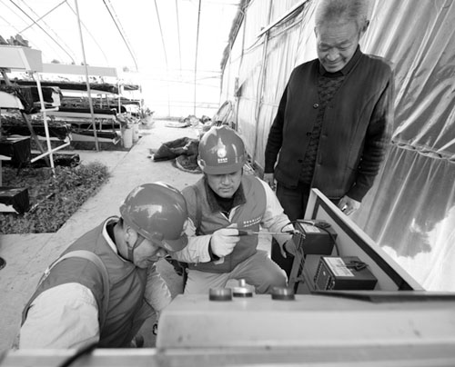 1615258517688774.jpg 333.jpg