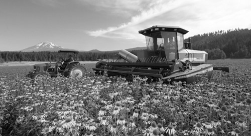 1615965934314999.jpg 33.jpg