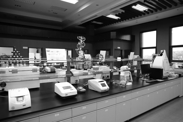 1615965939250877.jpg 333.jpg