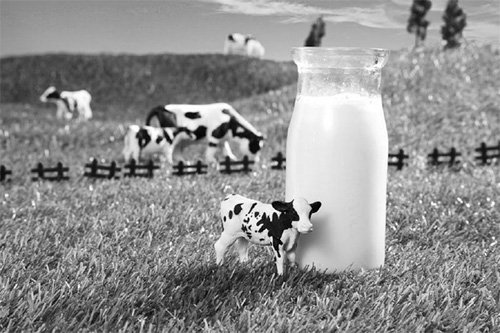 微信图片_20210326092958 副本.jpg