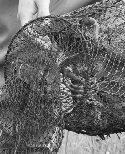 1618970539566755.jpg 3.jpg