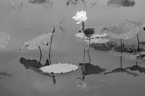 1619748331902205.jpg 微信图片_20210428150553.jpg