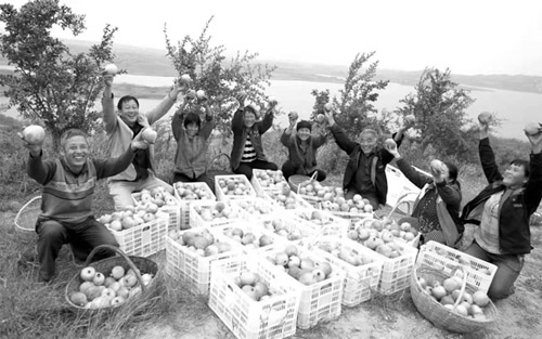 1623894567216358.jpg 配图03.jpg