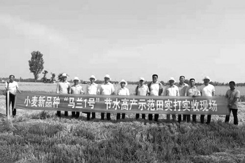 1624499493550715.jpg 图片2.jpg