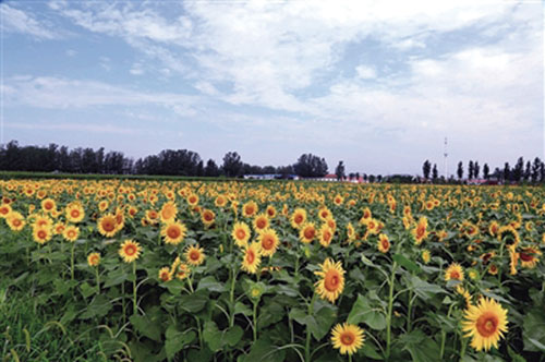 1624866044919236.jpg 微信图片_20210628105624.jpg