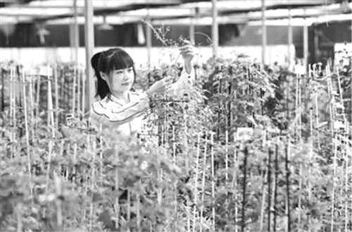 1624866184927543.jpg 微信图片_202106281044301 副本.jpg