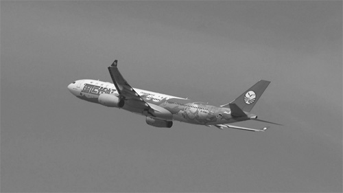 1625709231982790.jpg 33 副本.jpg