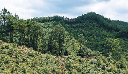 1627270004595400.jpg 微信图片_20210723111050.jpg