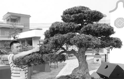 1635128579648526.jpg 图片4 副本.jpg