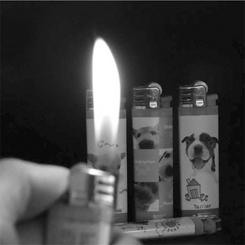 1639535225159576.jpg 微信图片_20211214112545 副本.jpg