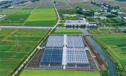 1642642380116045.jpg 头条图片_20220117193146 副本.jpg