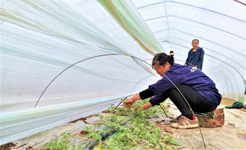 1645667847243175.jpg 5.jpg