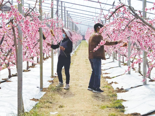 1647483198866791.jpg 微信图片_202203151216241.jpg