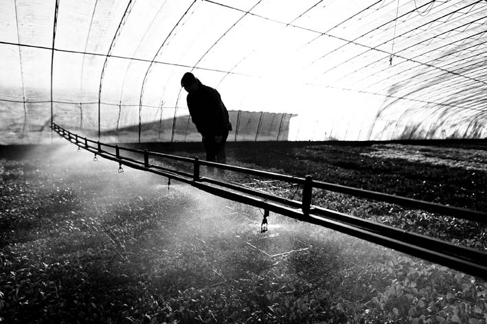 1647798336368447.jpg 123.jpg