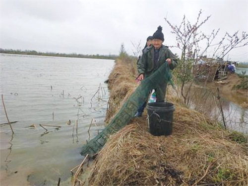 1648608156787657.jpg 图片991.jpg