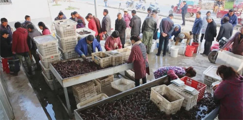 1648608177264821.jpg 图片1 副本.jpg