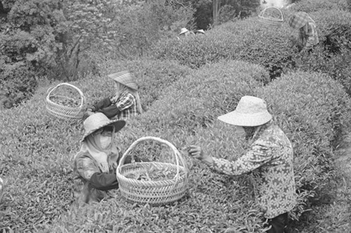 1649731133550136.jpg 微信图片_20220411151559.jpg