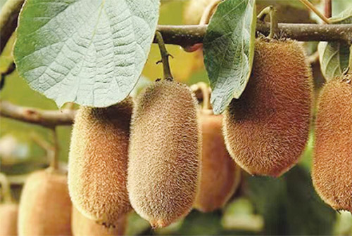 1649902199427029.jpg 图片1 副本.jpg