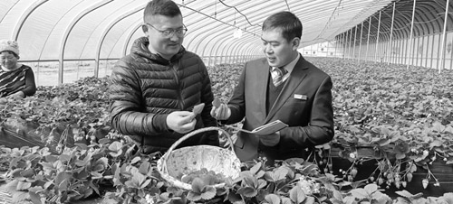 1649903076424861.jpg 1010101010.jpg