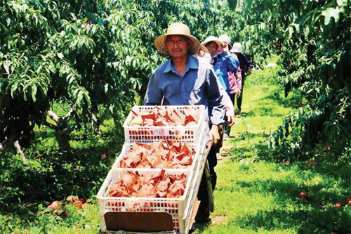 1649903318450187.jpg 微信图片_20220412141541.jpg