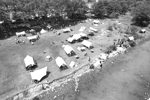 1652344071975259.jpg 图222片1.jpg