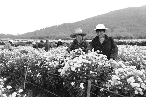 1653912313374890.jpg 图片4.jpg