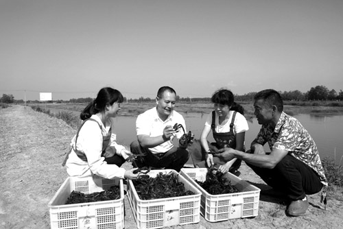 1653912319297854.jpg 图片5.jpg