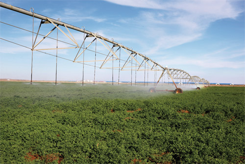 1653912494813167.jpg 图片6 副本.jpg