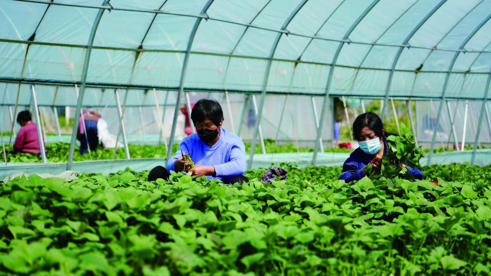 1653966889612946.jpg 5321.jpg