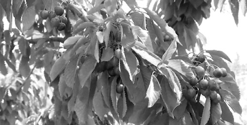 1654691550448120.jpg 图片1.jpg