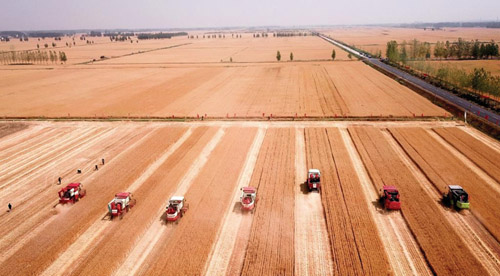 1656339091251185.jpg 111.jpg