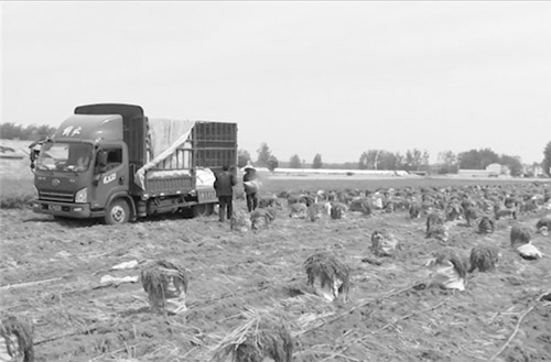 1656339271634462.jpg 3 副本.jpg