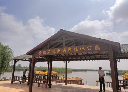 1656339441657561.jpg 2.jpg