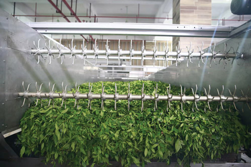 1656399128675191.jpg 微信图片_20220627151605.jpg