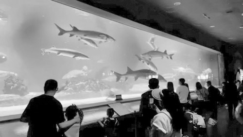 1656642059125589.jpg 微信图片_20220630100436.jpg